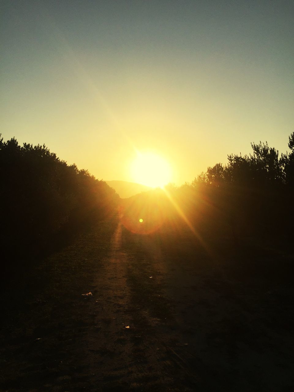 sun, sunset, tranquil scene, tree, sunlight, sunbeam, scenics, silhouette, beauty in nature, tranquility, clear sky, outline, nature, lens flare, sky, majestic, outdoors, non-urban scene, orange color, rural scene, no people, remote, bright, solitude