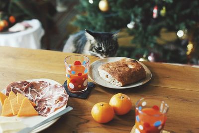 High angle view of kitten smelling food on table