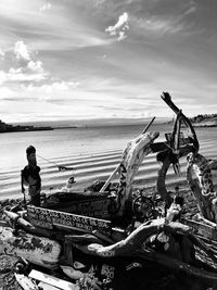 Driftwood on beach against sky