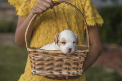 Girl carrying a basket with a puppy inside