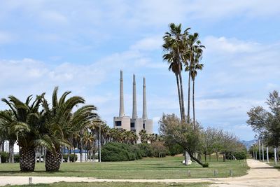 Palm trees in park against sky