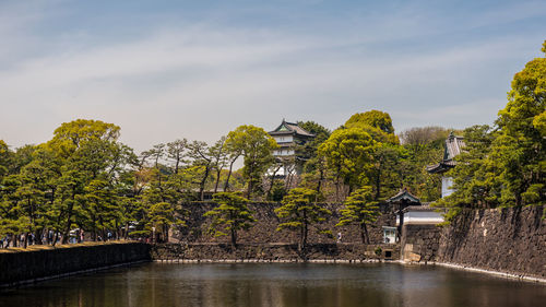 Scenic view of river by trees against sky