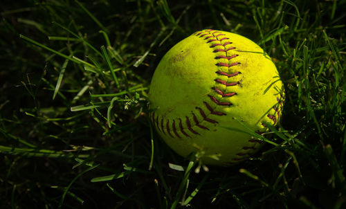 High angle view of baseball on grassy field