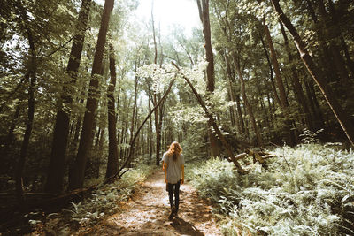 Rear view of woman standing amidst trees in forest