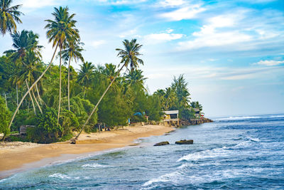 Sawang indah beach, tapaktuan, aceh. serene coastal paradise, swaying palm trees and pristine sands