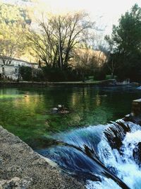 View of ducks swimming in lake