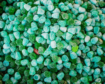 Green fruit jelly candies, close up view