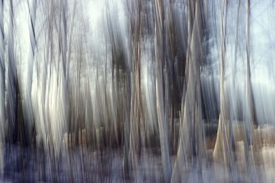 Full frame shot of plants