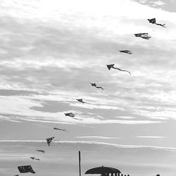 Low angle view of seagulls flying in sky