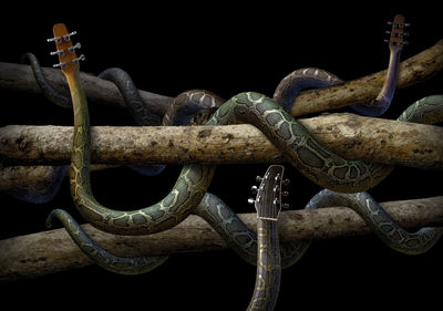 Close-up of rusty chain against black background