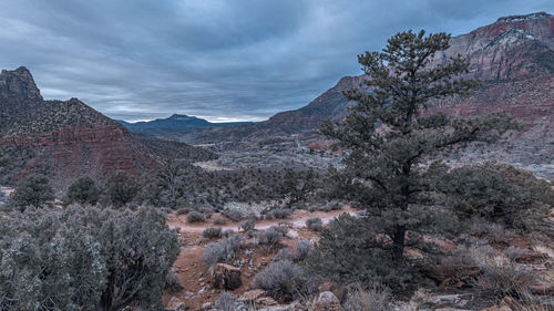 View of trees and mountains against cloudy sky