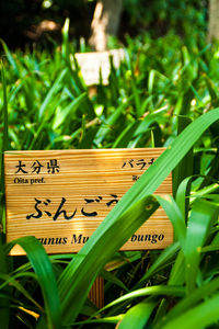 Close-up of sign board on field