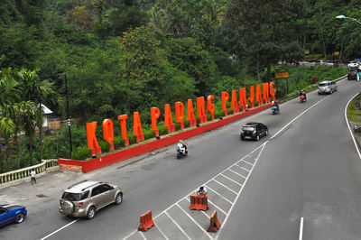 Vehicles on road along trees