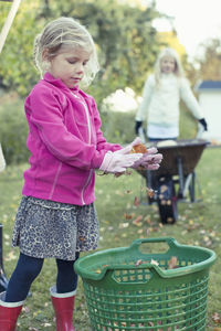 Girl collecting autumn leaves in basket at yard