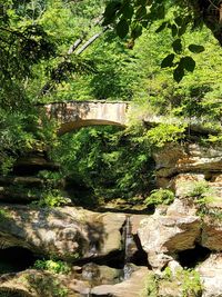 Arch bridge over rocks in forest