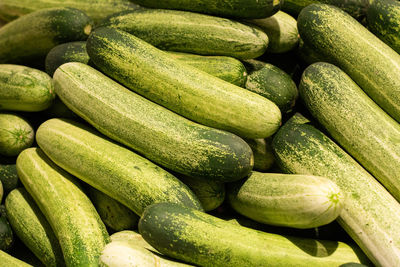 Full frame shot of vegetables for sale at market stall