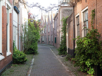 Haarlem in the netherlands