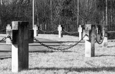 Fence against the sky