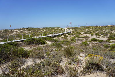 Scenic view of field against clear blue sky