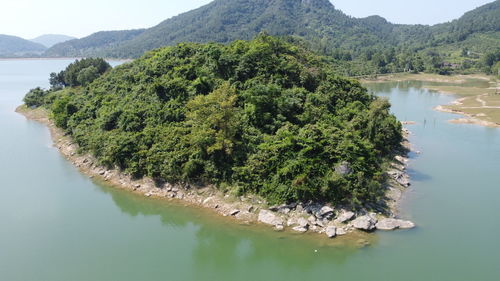 High angle view of tree by lake against mountain