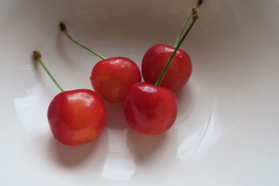 Close-up of cherries on table against white background