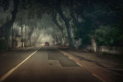 Road amidst trees and plants