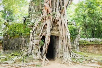 Built structure with trees in background