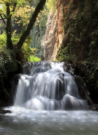 Scenic view of waterfall in forest