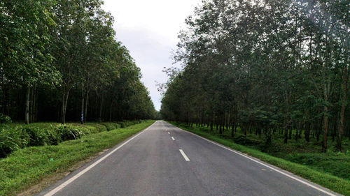 Road amidst trees against sky