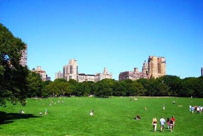 Trees on grassy field against blue sky