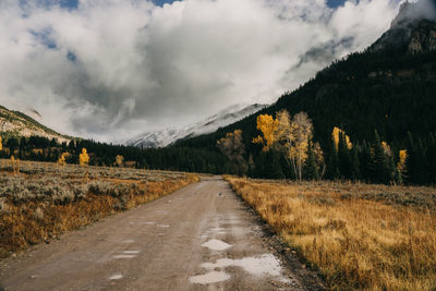 Road amidst plants against sky in autumn