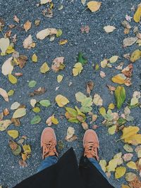 Low section of person standing on ground