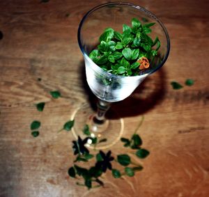 High angle view of drink on table