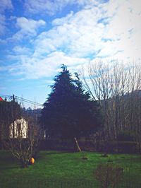 Scenic view of grassy field against cloudy sky