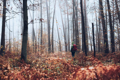 Woman with backpack wandering around a forest on autumn cold day