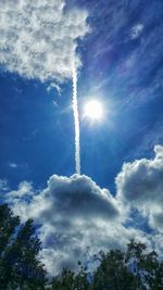 Low angle view of trees against blue sky