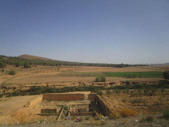 Scenic view of agricultural field against clear blue sky