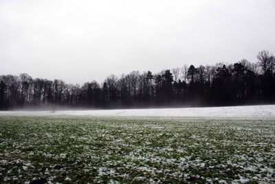 Trees on field against clear sky during winter