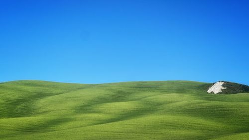 Scenic view of field against clear blue sky