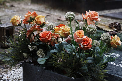 Close-up of flowers