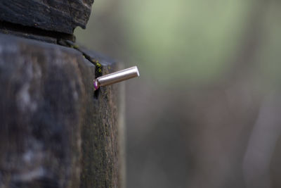 Close-up of bicycle on wall