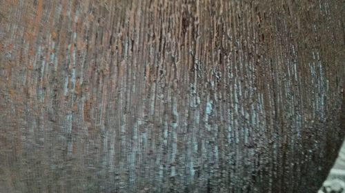 Full frame shot of wood