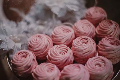 Close-up of cupcakes