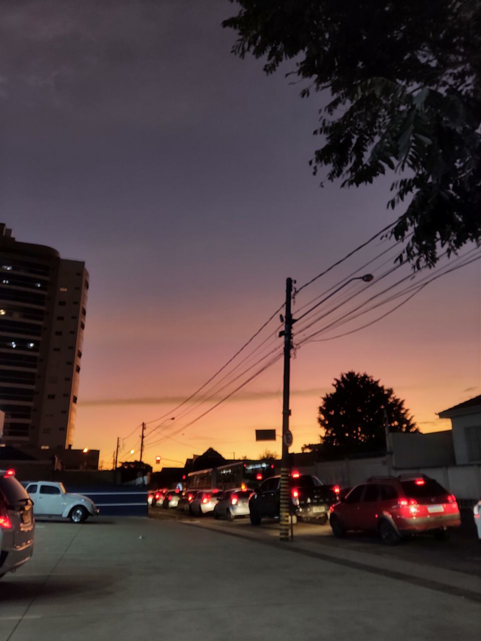 night, architecture, light, tree, sky, darkness, nature, lighting, evening, built structure, plant, city, illuminated, building exterior, low angle view, lighting equipment, street, street light, outdoors, no people, transportation, dusk, red light