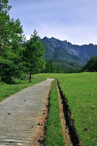 Scenic view of landscape against sky