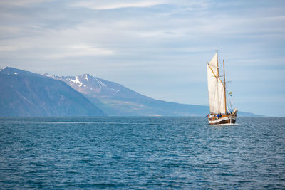 Sailboat sailing on sea against cloudy sky