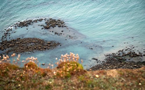 High angle view of rocks on beach