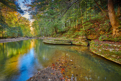 Scenic view of lake in forest during autumn