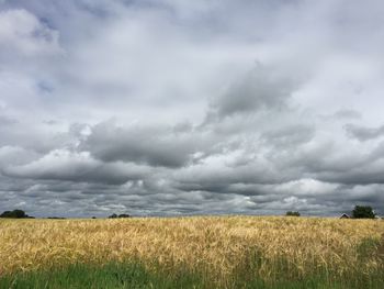Scenic view of field against cloudy sky