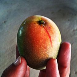Cropped image of person holding spoon